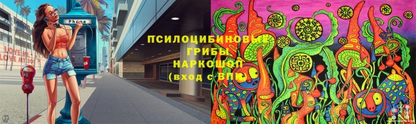 бошки Верхний Тагил